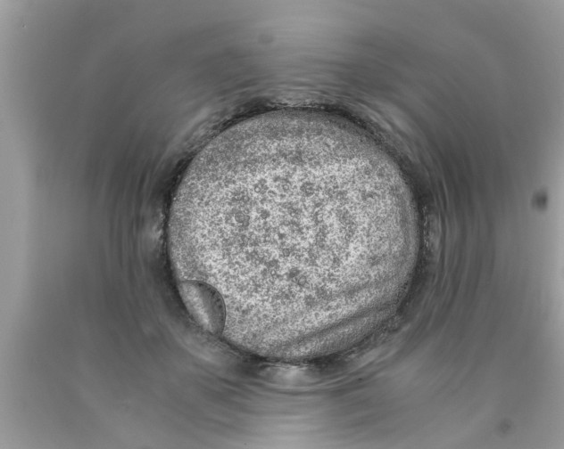 X0000089870507200707262152