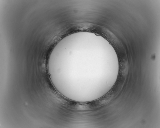 X0000089870510200707262152
