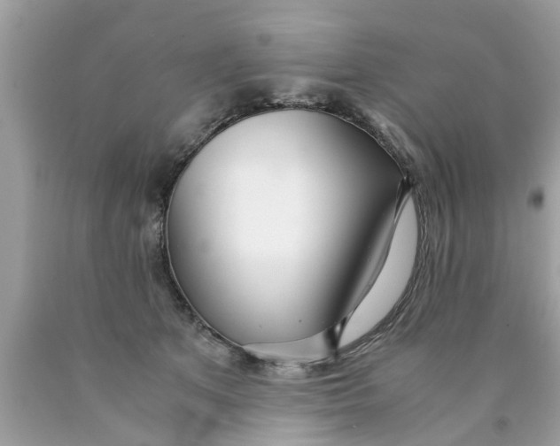 X0000089870513200707262152