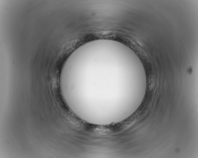 X0000089870515200707262152