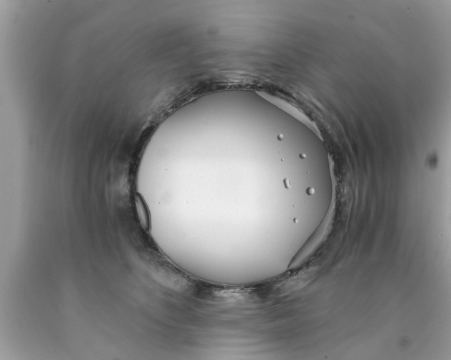 X0000089870516200707262152