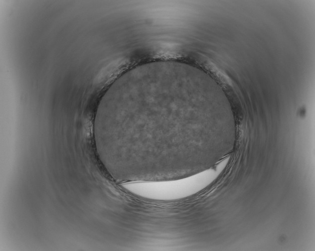 X0000089870517200707262152