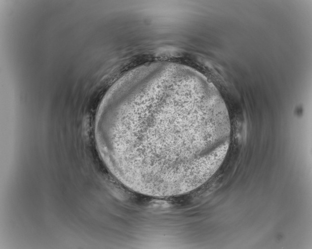X0000089870519200707262152