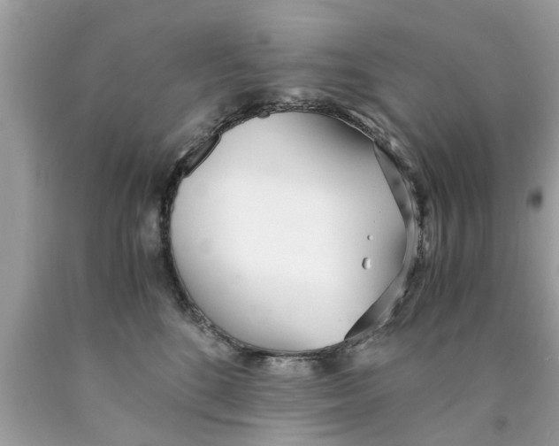 X0000089870520200707262152