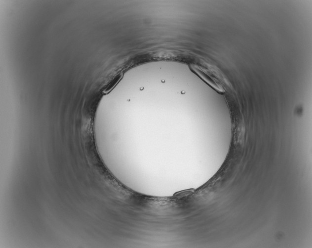 X0000089870521200707262152