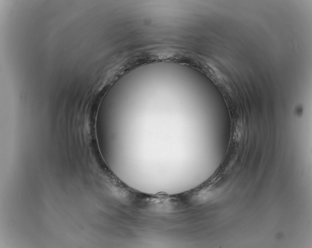 X0000089870524200707262152