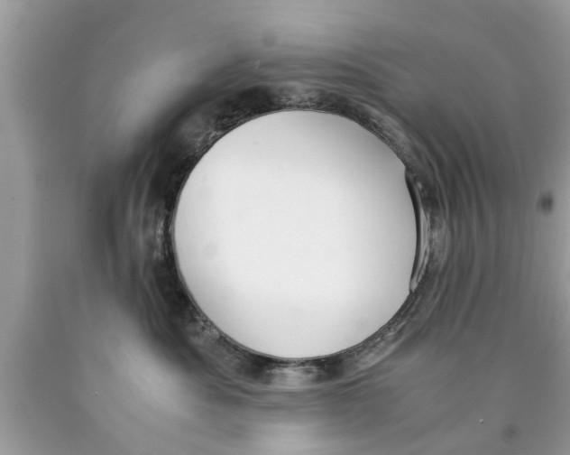 X0000089870525200707262152