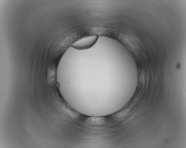 X0000089870526200707262152