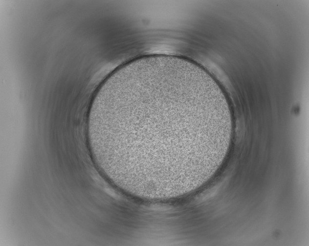 X0000089870529200707262151