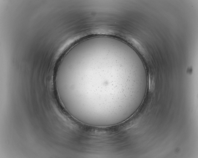 X0000089870531200707262151