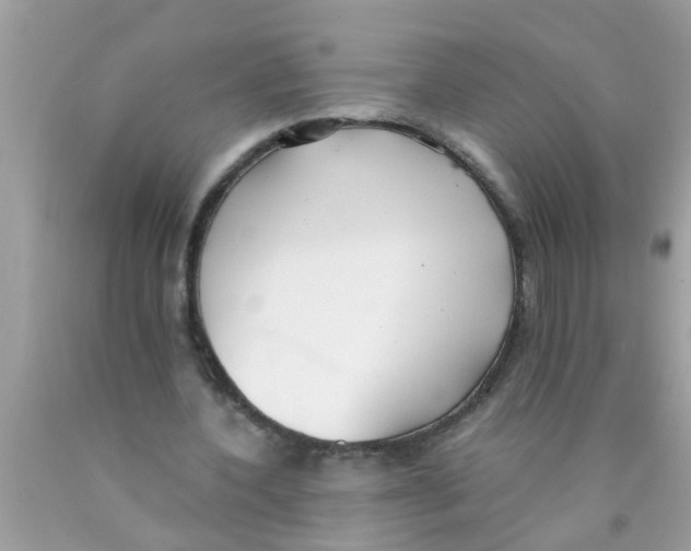 X0000089870532200707262151