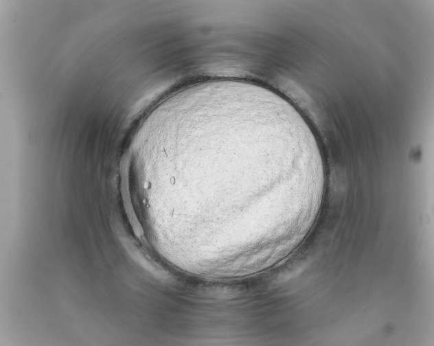 X0000089870533200707262151