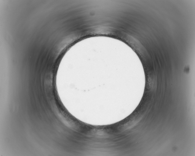 X0000089870534200707262151