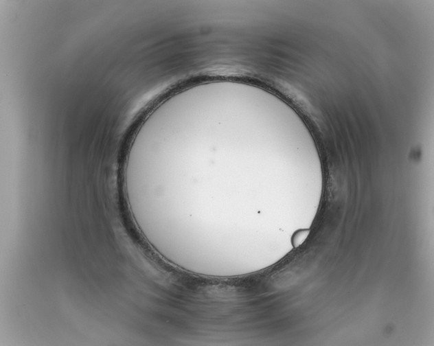 X0000089870535200707262151