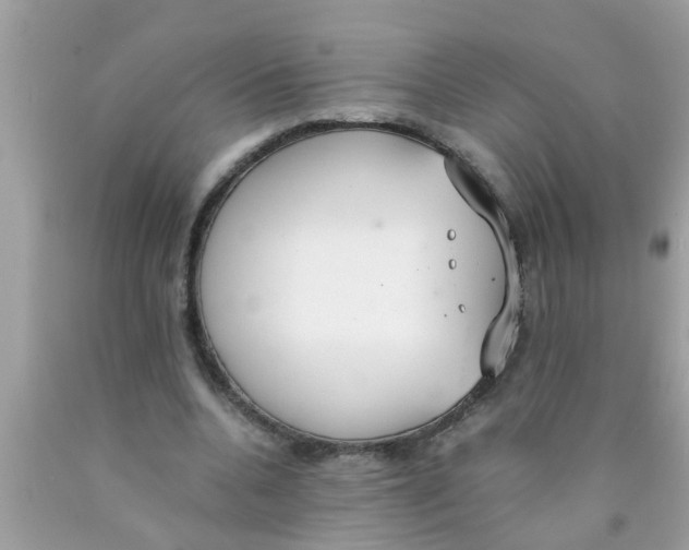 X0000089870536200707262151