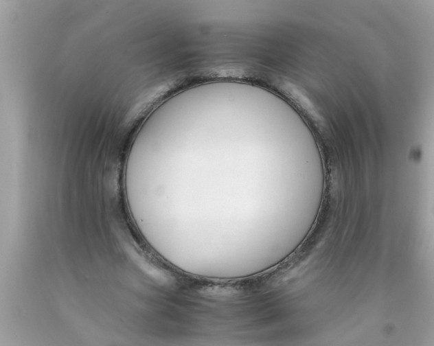X0000089870537200707262151