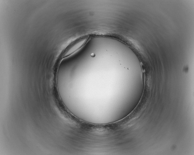 X0000089870540200707262151