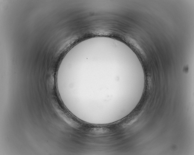 X0000089870541200707262151