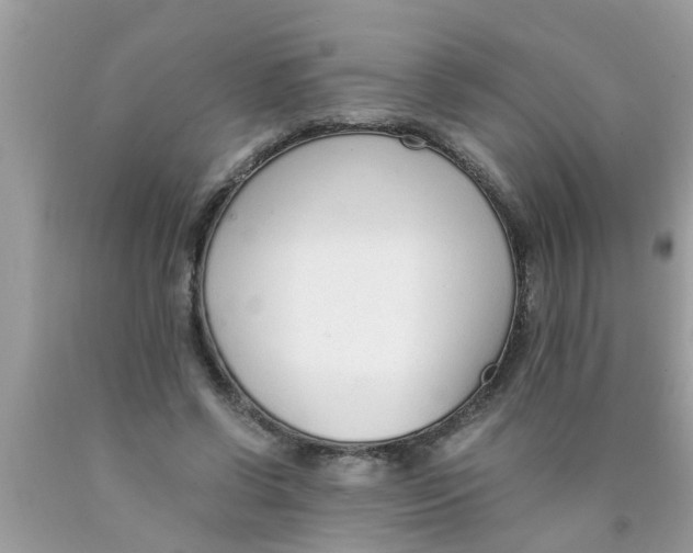 X0000089870542200707262151