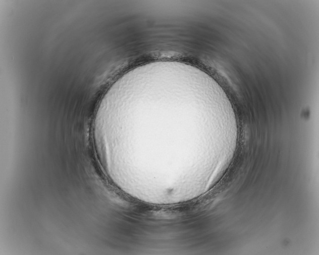 X0000089870545200707262151