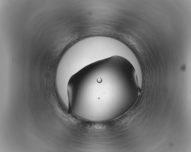 X0000089870546200707262151