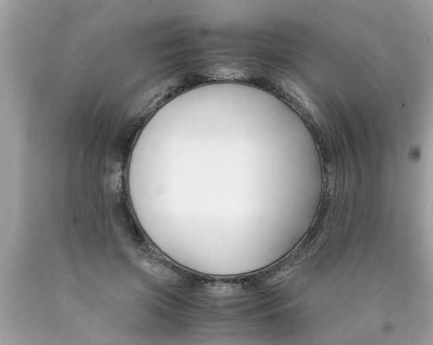 X0000089870549200707262151