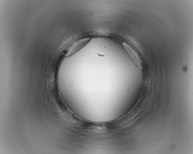 X0000089870552200707262151