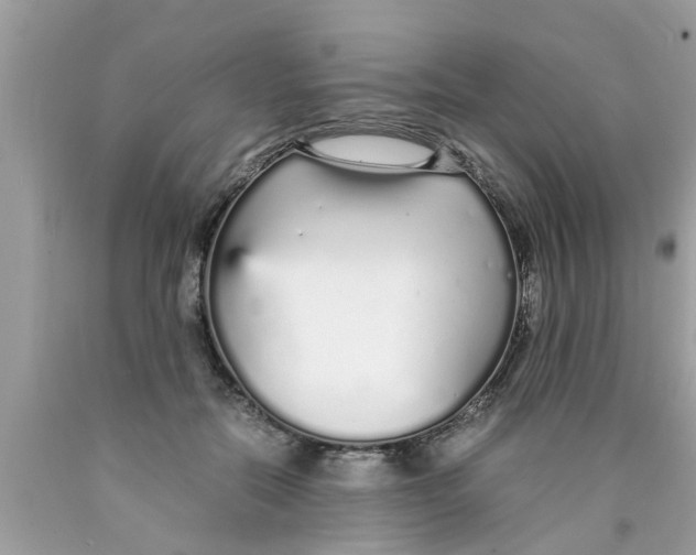 X0000089870554200707262151