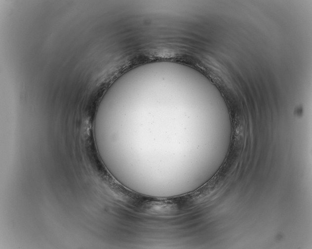 X0000089870555200707262151