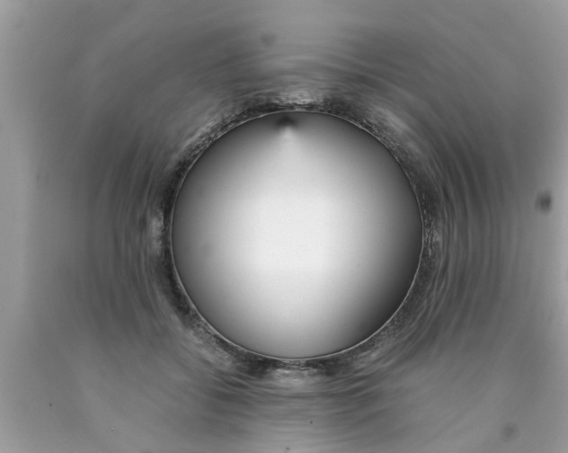 X0000089870556200707262151