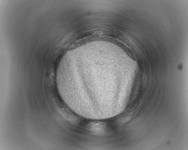 X0000089870557200707262151