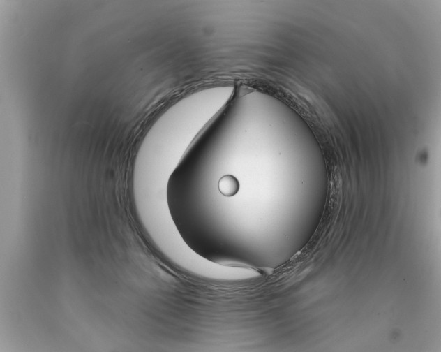 X0000089870558200707262151