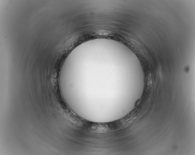X0000089870559200707262151