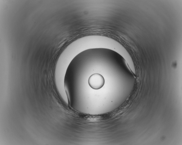 X0000089870560200707262151