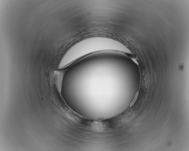 X0000089870562200707262151