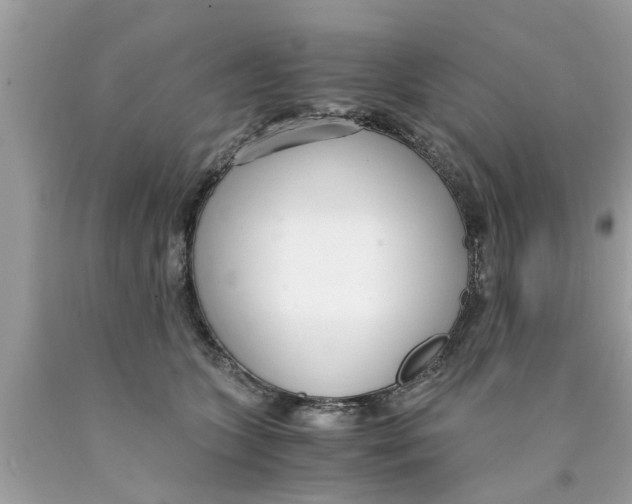 X0000089870563200707262151
