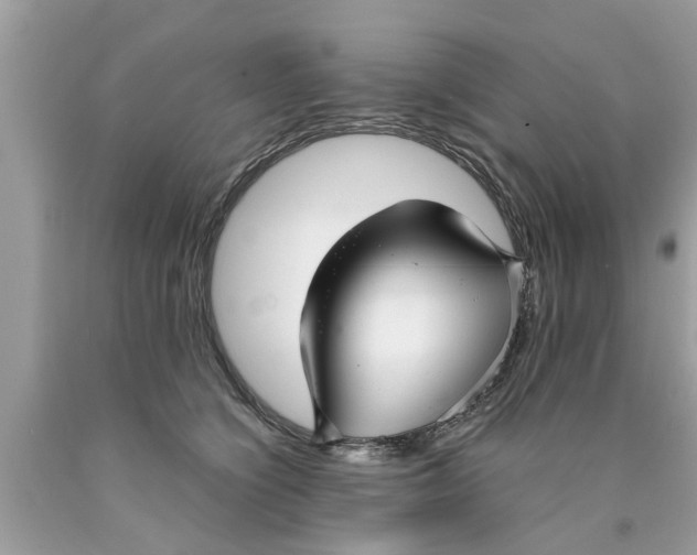X0000089870564200707262151