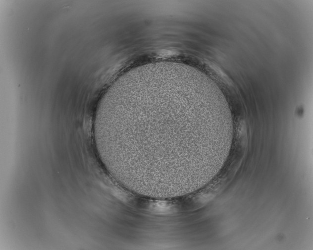 X0000089870565200707262151