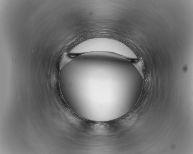 X0000089870566200707262151