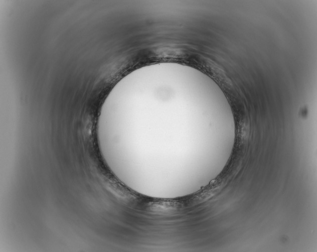 X0000089870567200707262151