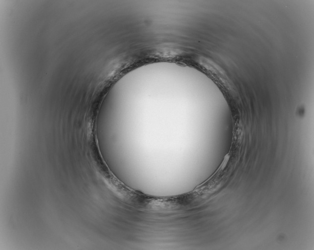 X0000089870568200707262151