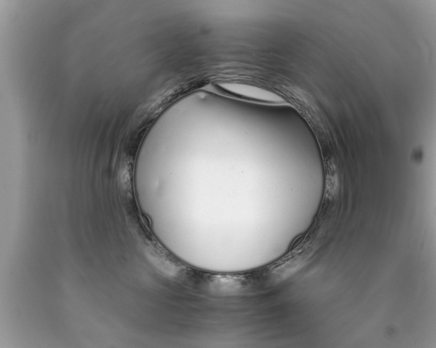 X0000089870573200707262151