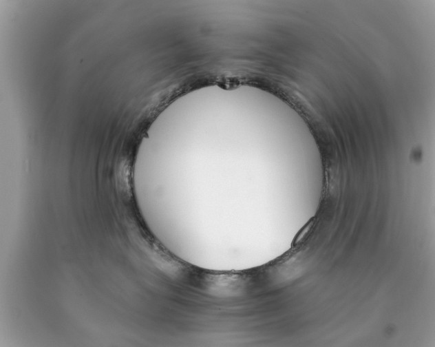 X0000089870575200707262152
