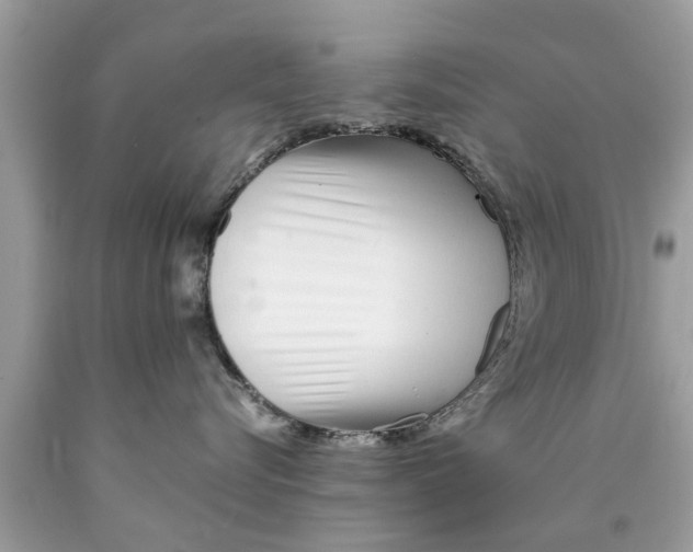 X0000089870576200707262152