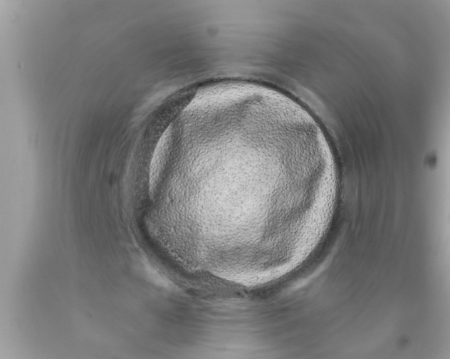 X0000089870577200707262151