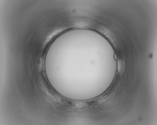 X0000089870579200707262151