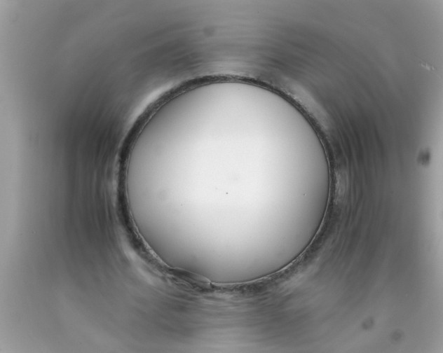 X0000089870580200707262151