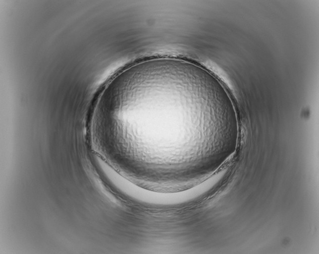 X0000089870581200707262151