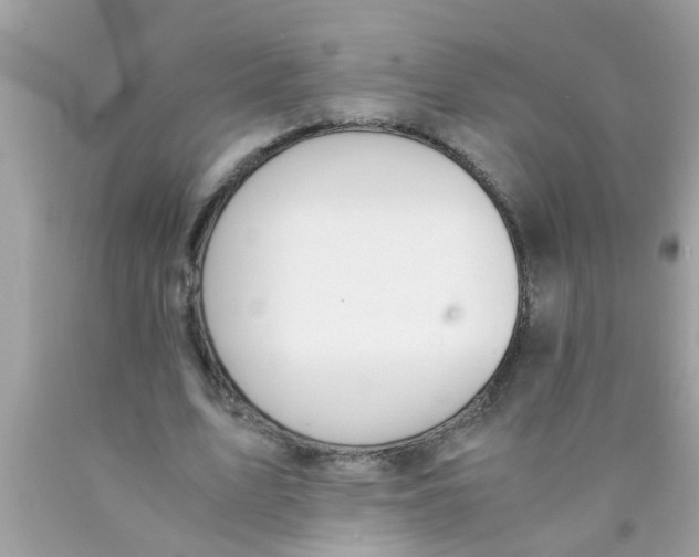 X0000089870583200707262151