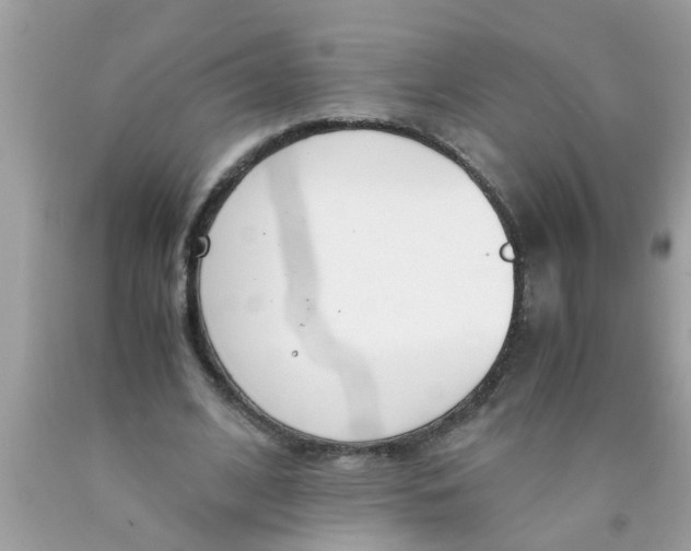 X0000089870584200707262150